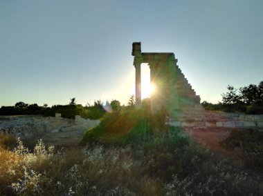 Kutsal Apollo Hylates Kıbrıs