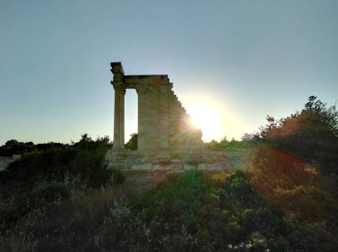 Kutsal Apollo Hylates Kıbrıs