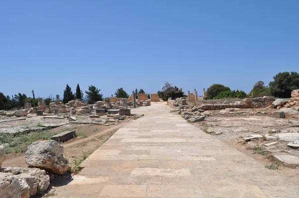 Kutsal Apollo Hylates Kıbrıs