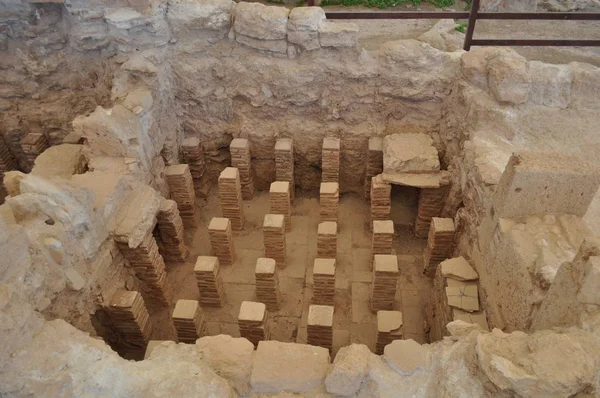 Kutsal Apollo Hylates Kıbrıs