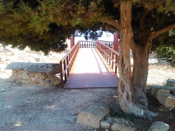 Kutsal Apollo Hylates Kıbrıs