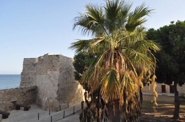 Kıbrıs 'taki Ortaçağ Larnaka Kalesi (Larnaka)