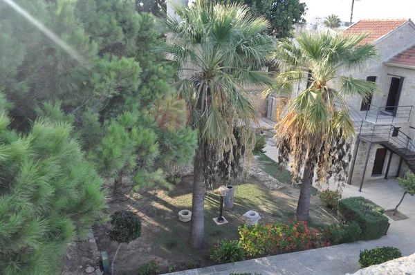 Kıbrıs 'taki Ortaçağ Larnaka Kalesi (Larnaka)