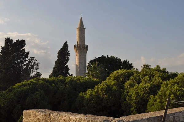 Theeval Castleoflarnaca Larnaka Кіпрі — стокове фото