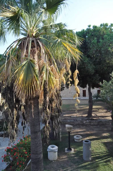 Kıbrıs 'taki Ortaçağ Larnaka Kalesi (Larnaka)