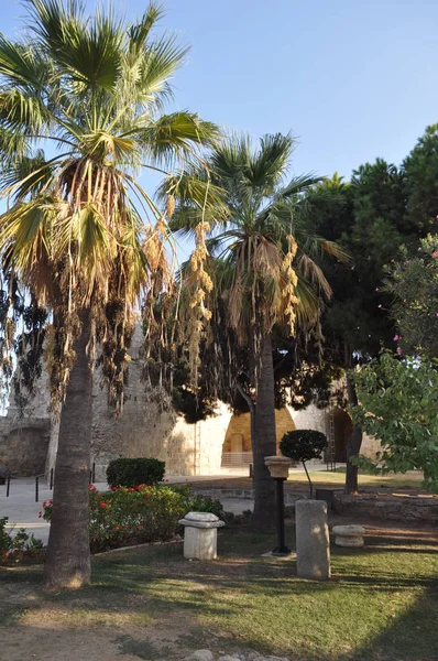 Kıbrıs 'taki Ortaçağ Larnaka Kalesi (Larnaka)