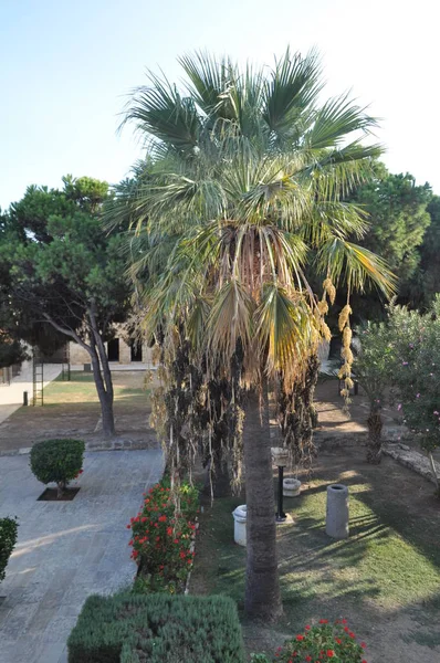 Het Middeleeuwse Kasteel Van Larnaca Larnaka Cyprus — Stockfoto