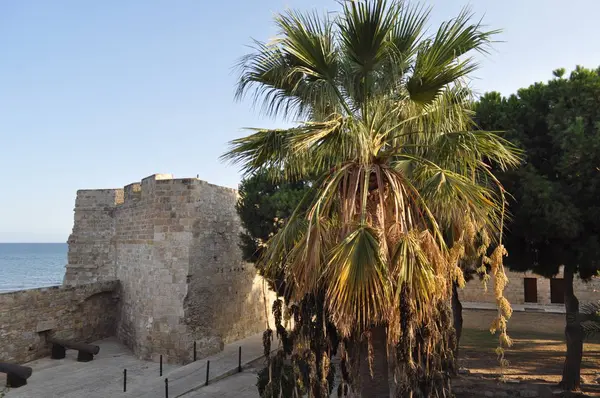 Kıbrıs 'taki Ortaçağ Larnaka Kalesi (Larnaka)