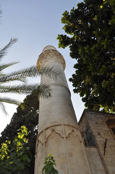 Medieval Castleof Larnaca Larnaka Cyprus — 图库照片