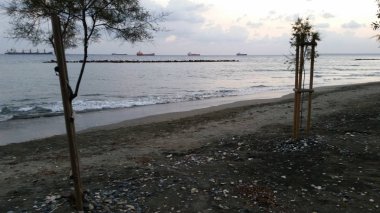 Kıbrıs'ta güzel Limasol Beach