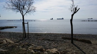 Kıbrıs'ta güzel Limasol Beach