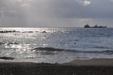 Kıbrıs'ta güzel Limasol Beach