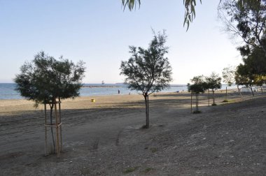 Kıbrıs'ta güzel Limasol Beach