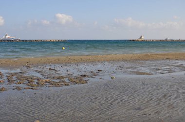 Kıbrıs'ta güzel Limasol Beach