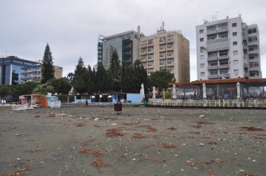 Kıbrıs'ta güzel Limasol Beach
