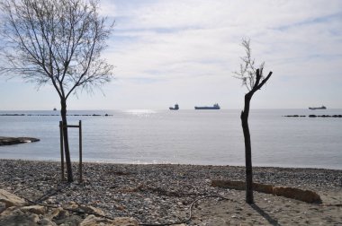 Kıbrıs'ta güzel Limasol Beach