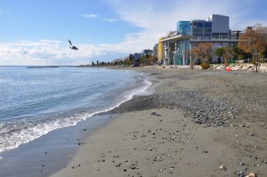 Kıbrıs'ta güzel Limasol Beach