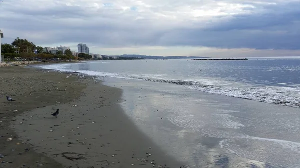 Der Schöne Limassol Strand Zypern — Stockfoto