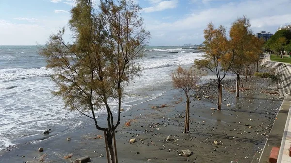 Kıbrıs'ta güzel Limasol Beach