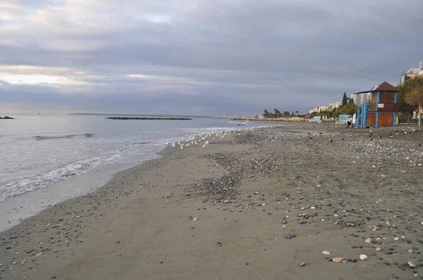 Kıbrıs'ta güzel Limasol Beach