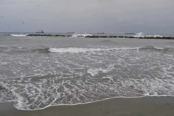 Kıbrıs'ta güzel Limasol Beach