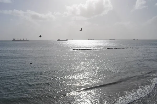 Kıbrıs'ta güzel Limasol Beach