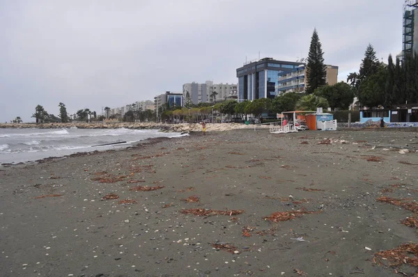 Kıbrıs'ta güzel Limasol Beach