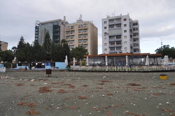 Kıbrıs'ta güzel Limasol Beach