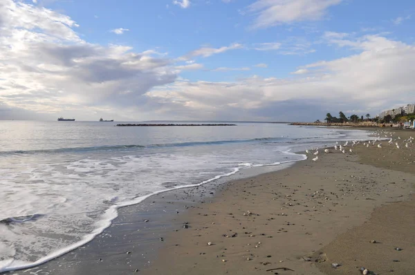 Beautiful Limassol Beach Cyprus — Stock Photo, Image