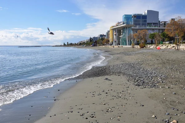 Kıbrıs'ta güzel Limasol Beach