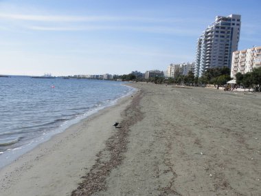 Kıbrıs'ta güzel Limasol Beach