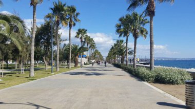 Kıbrıs'ta güzel Limasol Molos