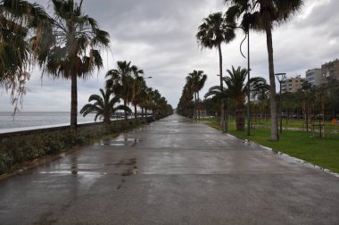 Kıbrıs'ta güzel Limasol Molos