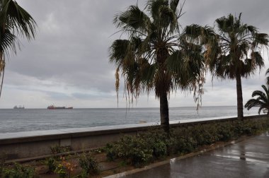 Kıbrıs'ta güzel Limasol Molos