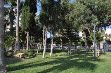 Kıbrıs'ta güzel Limasol Molos