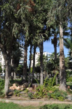 Kıbrıs'ta güzel Limasol Molos