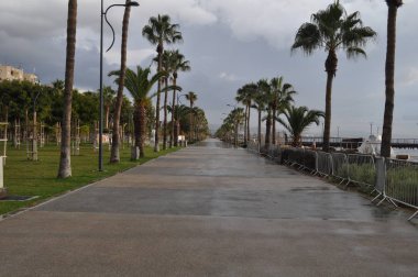 Kıbrıs'ta güzel Limasol Molos