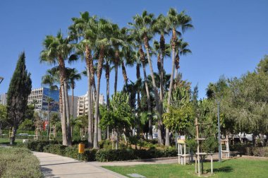 Kıbrıs'ta güzel Limasol Molos