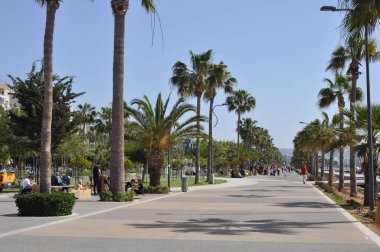 Kıbrıs'ta güzel Limasol Molos