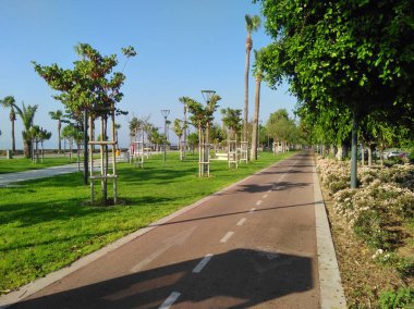 Kıbrıs'ta güzel Limasol Molos