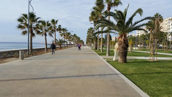 Kıbrıs'ta güzel Limasol Molos