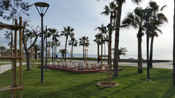 Kıbrıs'ta güzel Limasol Molos