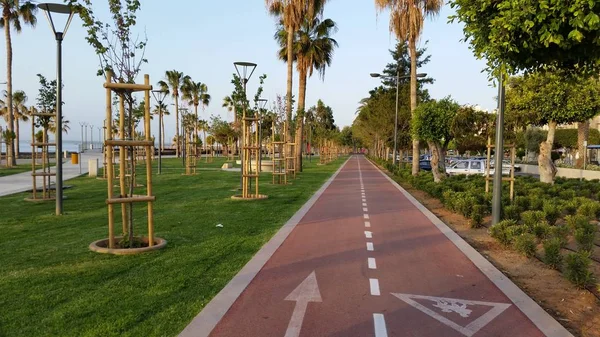 Kıbrıs'ta güzel Limasol Molos