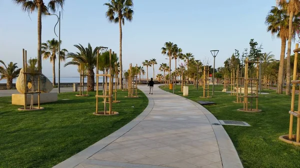 Kıbrıs'ta güzel Limasol Molos