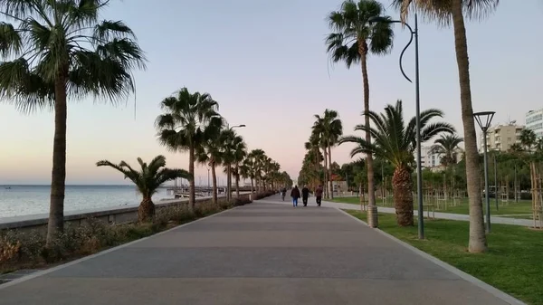 Kıbrıs'ta güzel Limasol Molos