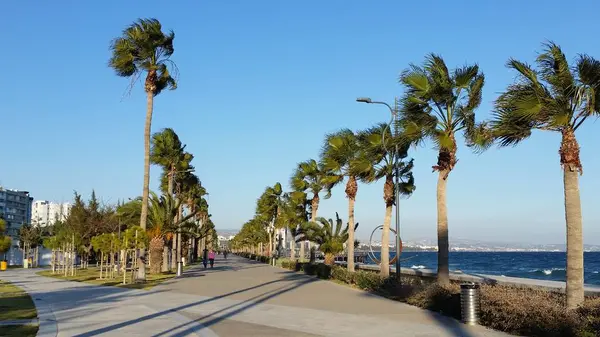 Kıbrıs'ta güzel Limasol Molos