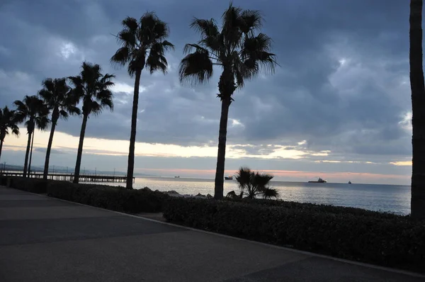 Kıbrıs'ta güzel Limasol Molos