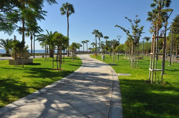 Kıbrıs'ta güzel Limasol Molos