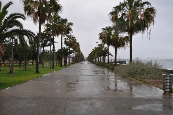 Kıbrıs'ta güzel Limasol Molos