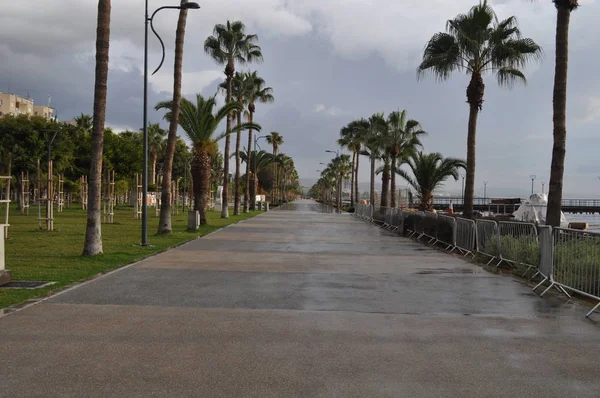 Kıbrıs'ta güzel Limasol Molos